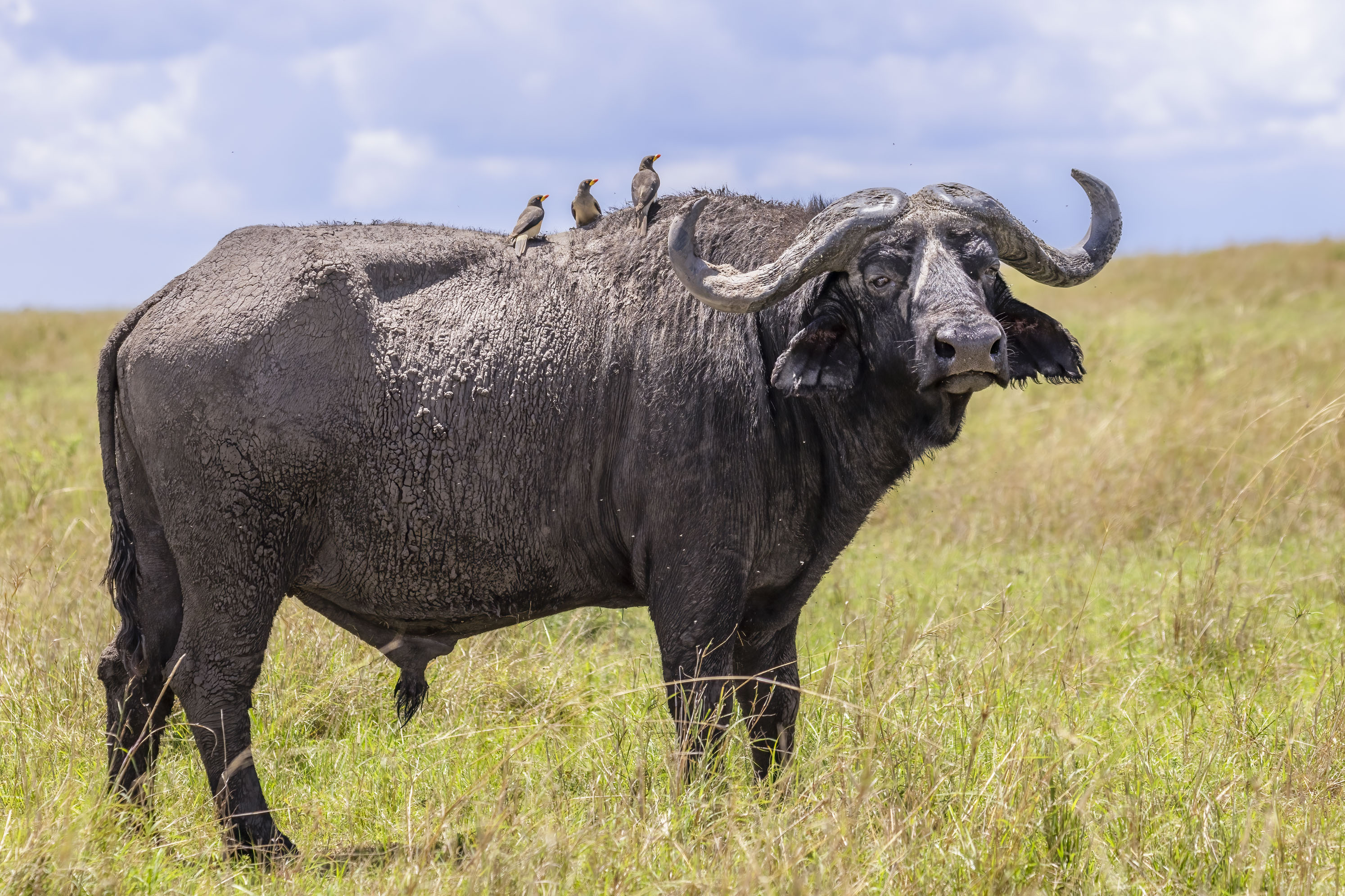 November 15, 2022-124059-2-Edit.jpg